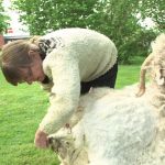 Dänemark – Glück und Meer! Teil 2: Auf den Inseln