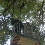 Die Feuerwache Teil 2 - Alarm in Hamburg