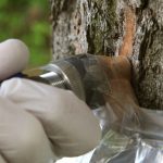 Dicke Luft! Es stinkt in Deutschland!