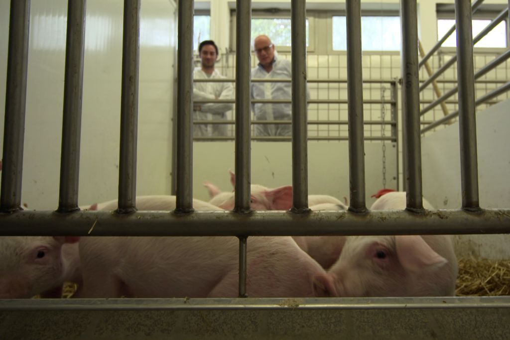 Killerkeime aus dem Stall