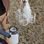 Der Irrsinn mit der Gülle