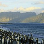 Kreuzfahrt ins ewige Eis.  Mit vier Sternen zu den Pinguinen