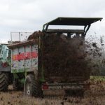 Gefahr aus dem Stall