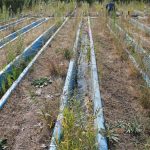 Chemiecocktails -  Gefährliche Rückstände in unserer Umwelt