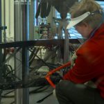 Brücken der Zukunft -  dünn wie Brot und härter als Stahl