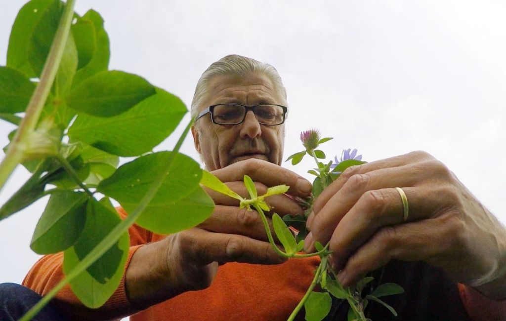 Bio  zwischen Wahn und Sinn