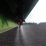 Bio  zwischen Wahn und Sinn