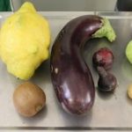 Obst ohne Gift – Wenn Natur die Chemie ersetzt