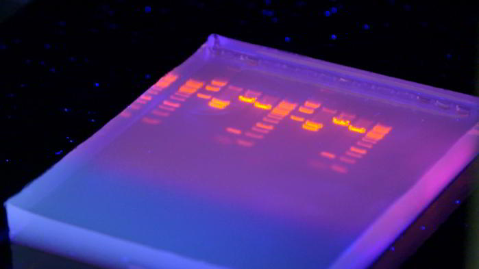 Hoffnung für Patienten – Die Suche nach Impfstoffen und neuen Medikamenten