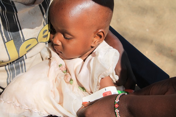 Landwirtschaft in Krisenzeiten - Was die Welternährung so anfällig macht