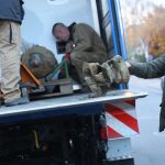 Bombenalarm! Der Fluch des zweiten Weltkriegs