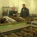 Bombenalarm! Der Fluch des zweiten Weltkriegs