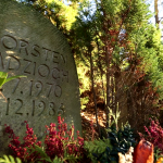 Systemversagen! Der Flugzeugabsturz von 1986 und die Stasi